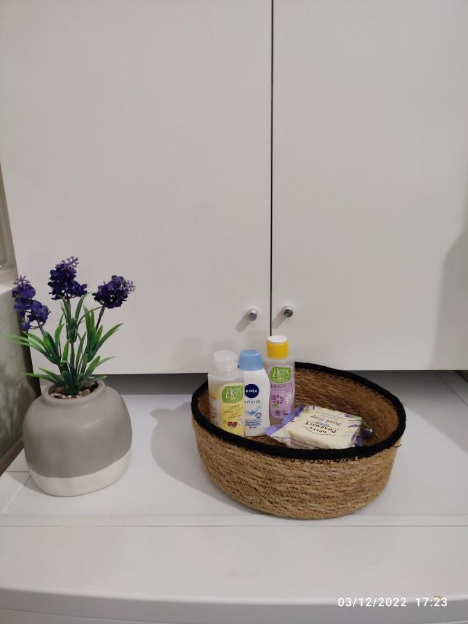 Bolo Guesthouse ボローニャ エクステリア 写真